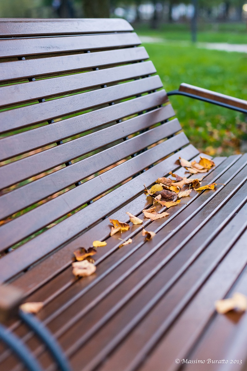 L'Autunno è arrivato