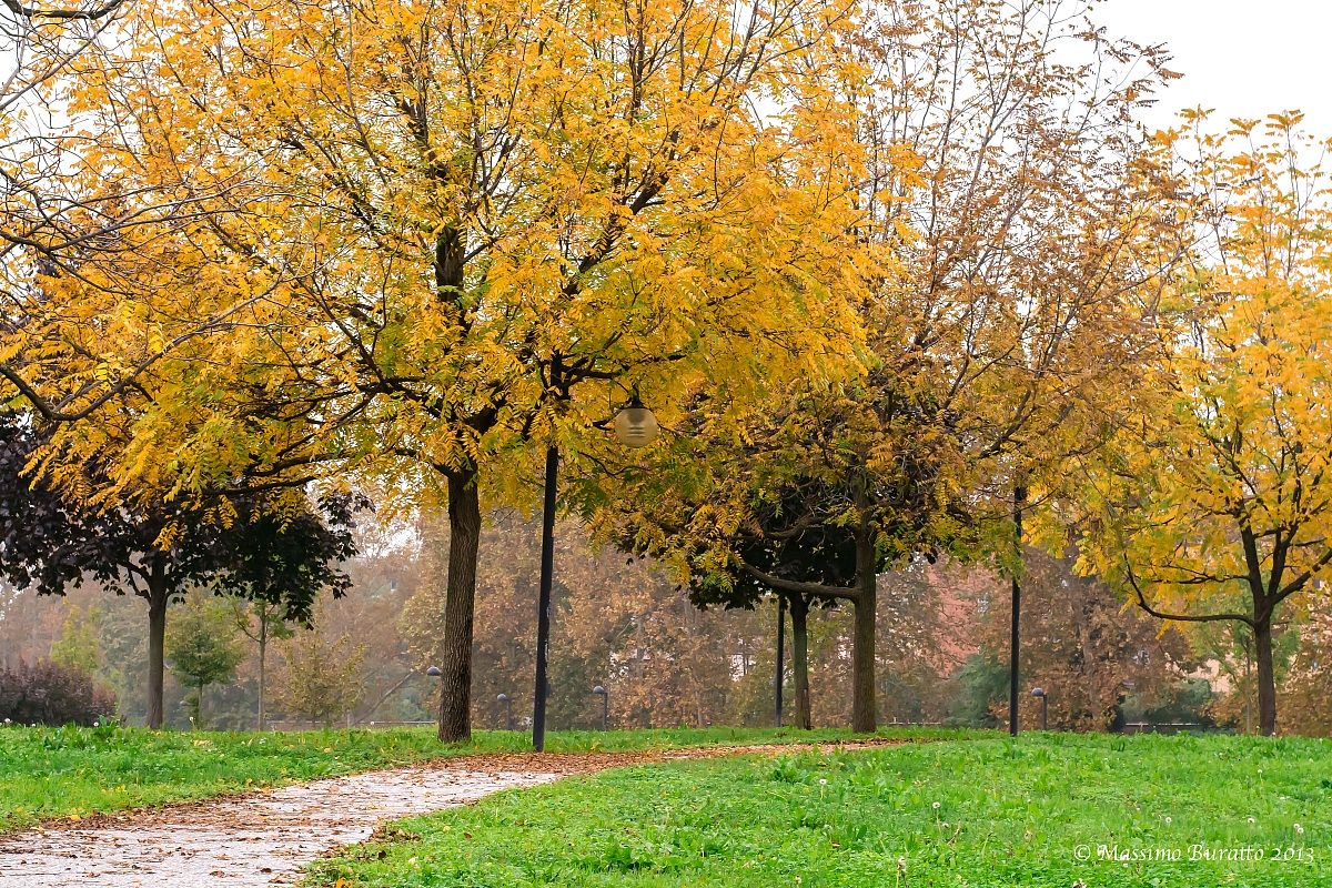 Autunno al parco