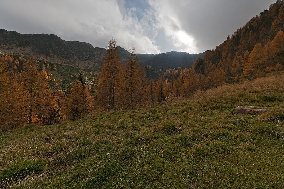 Il buio ha le ore contate