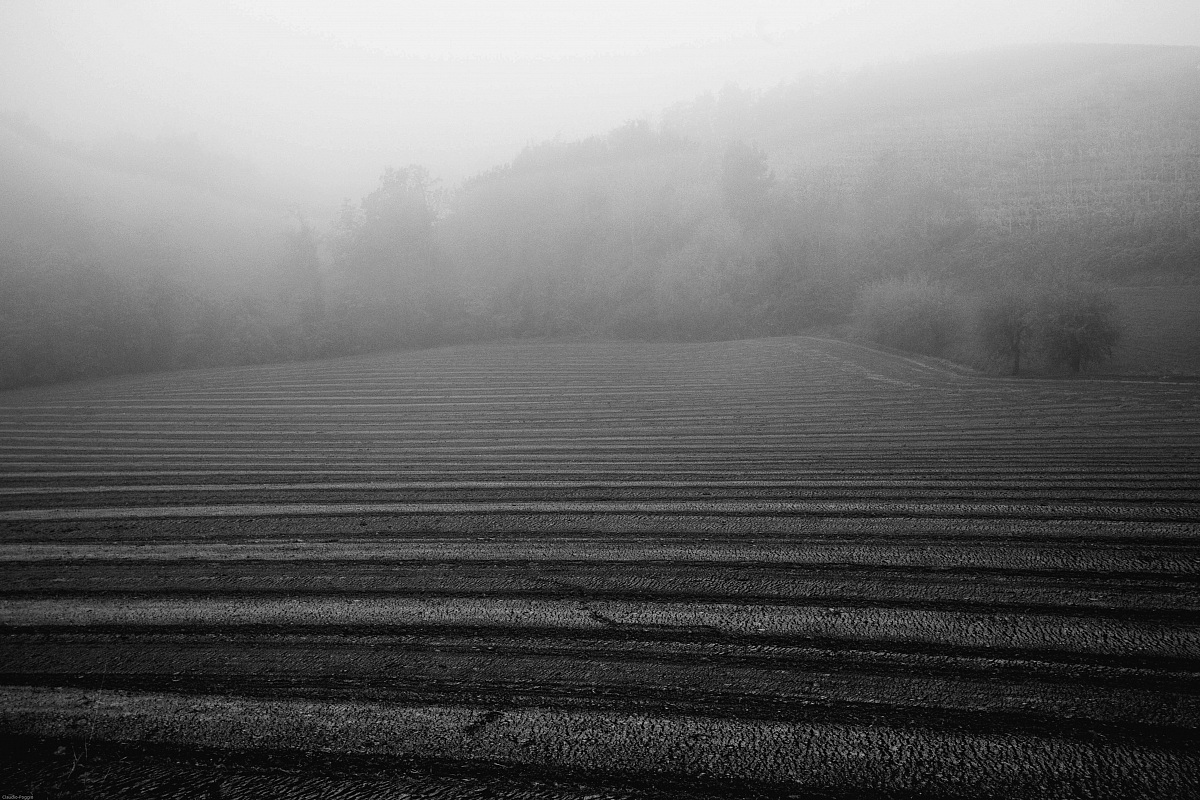 Horizontal lines in the ground, shrouded in the fog