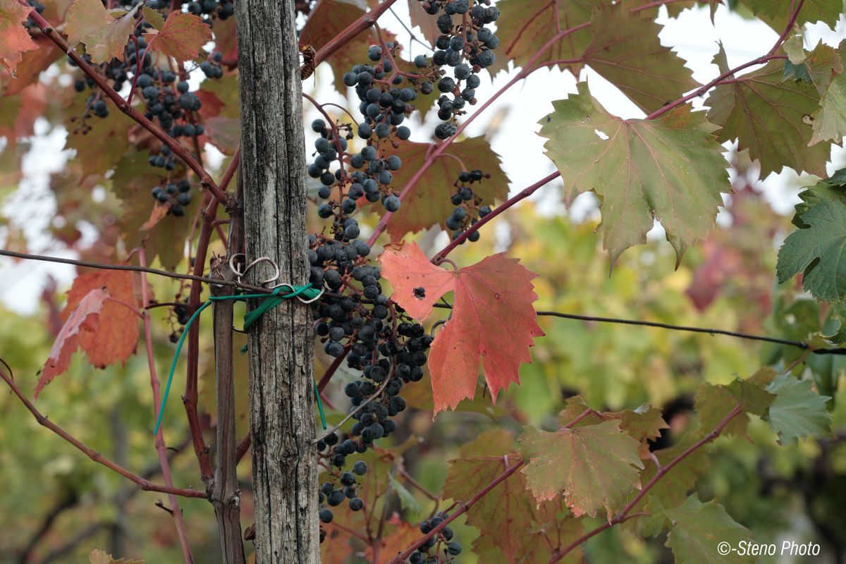 The harvest has ended