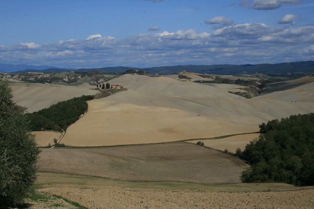 Terre senesi