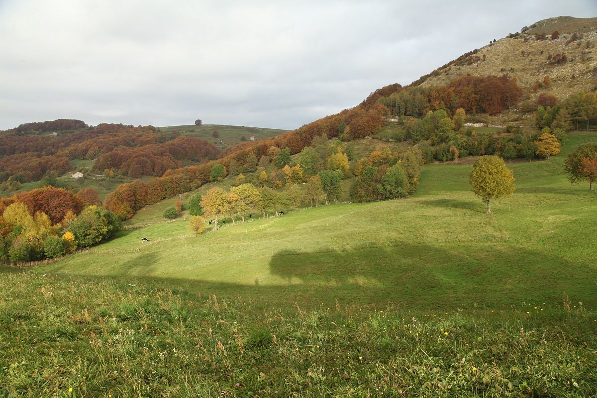 autunno a campofontana