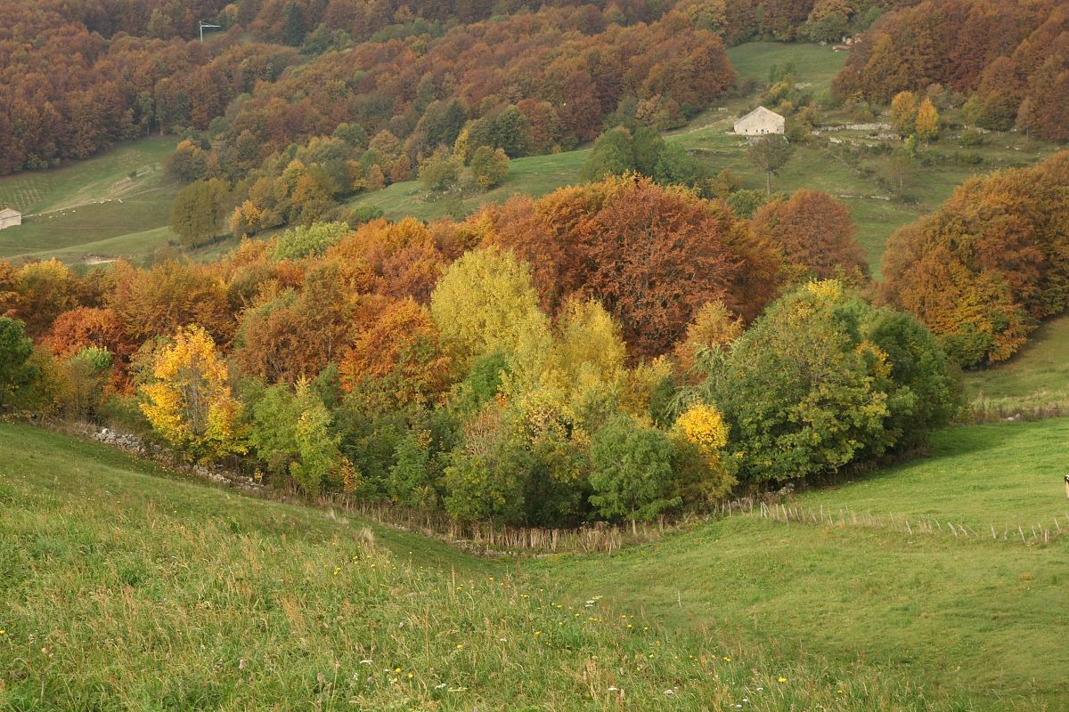 un tripudio di colori...