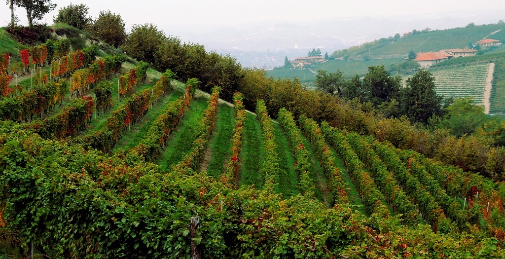 I colori dell'autunno