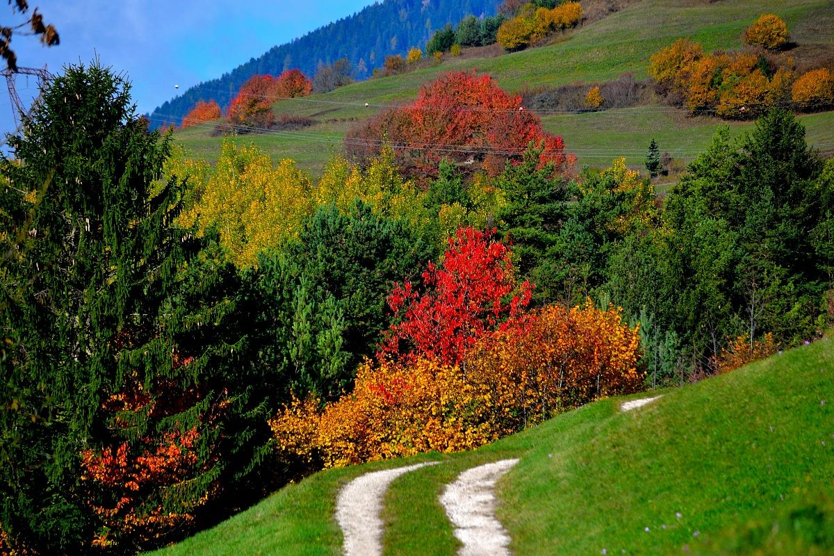 autunno in val di Fiemme