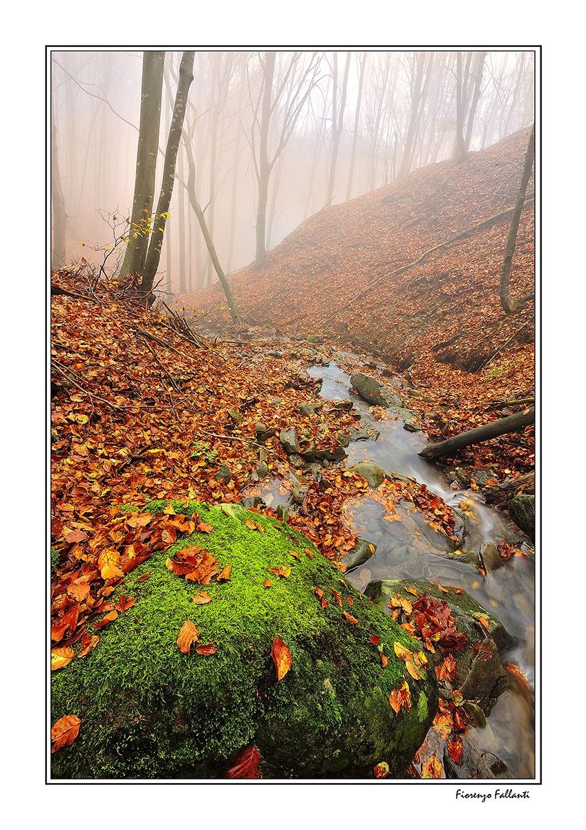 Postcards autumn ... ...