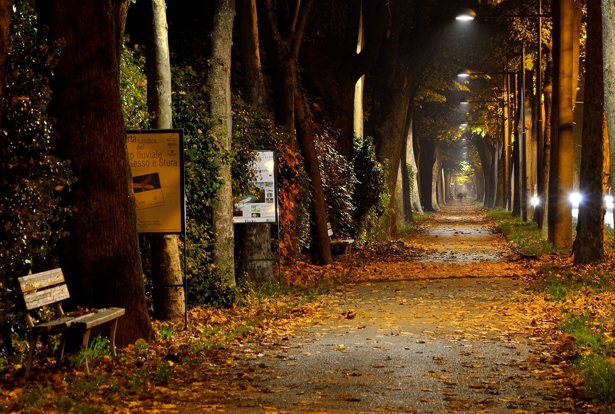 A stroll on the boulevard