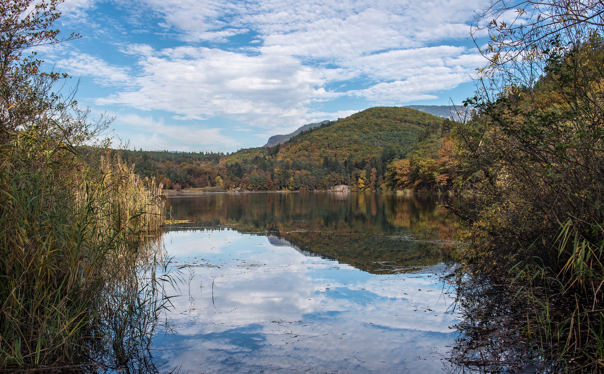 Pond Montiggler (Bz)