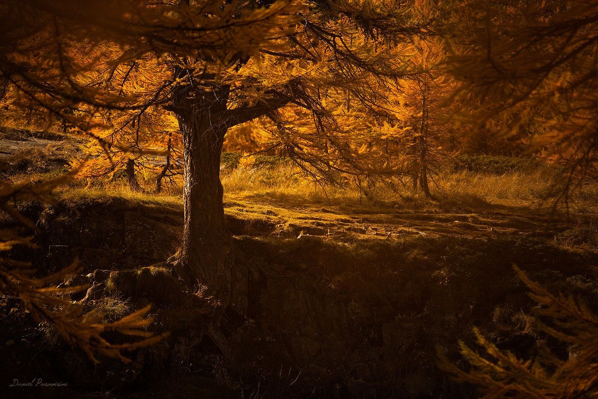 Tra il silenzio e malinconia