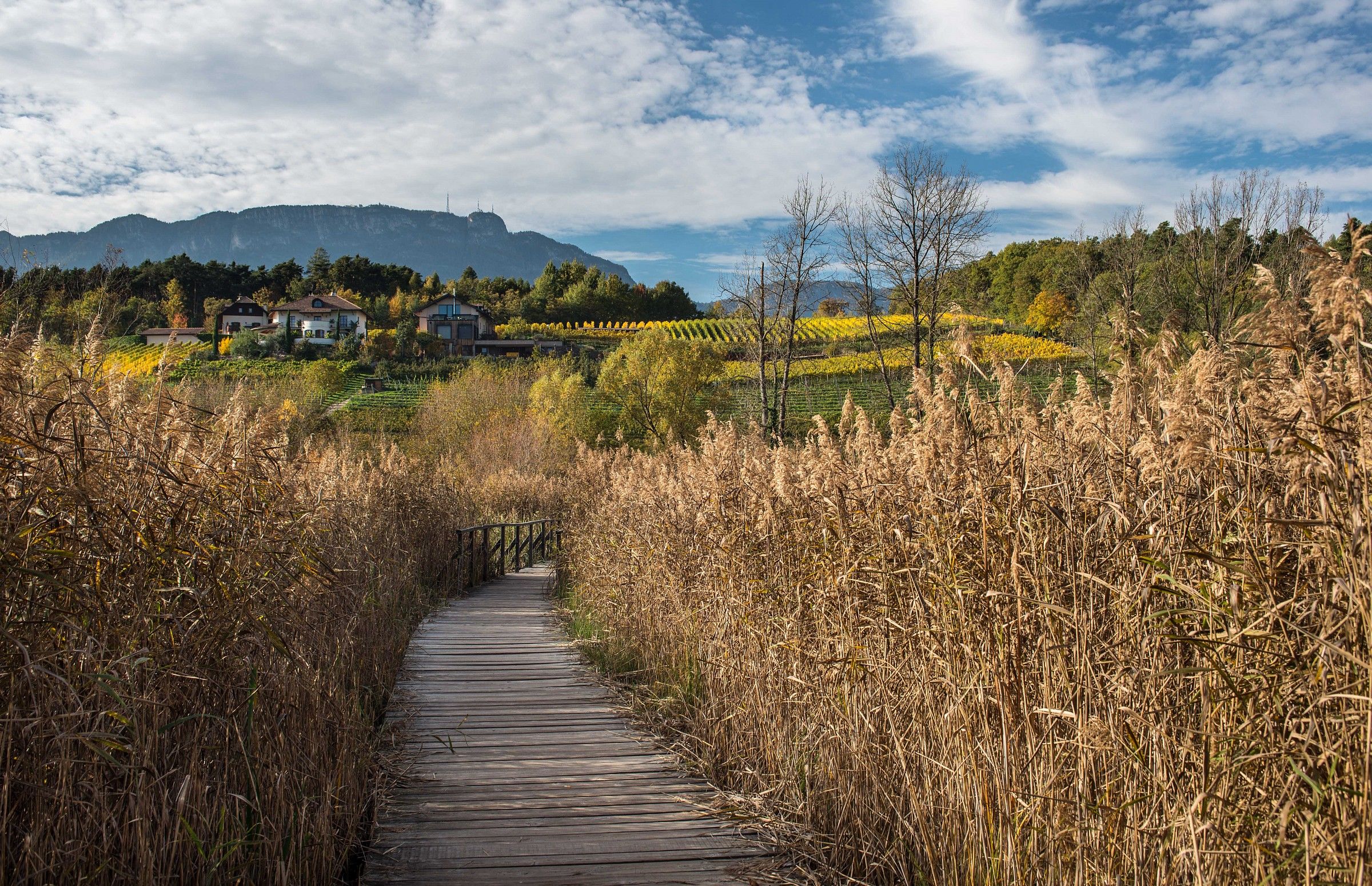 Prospettive autunnali