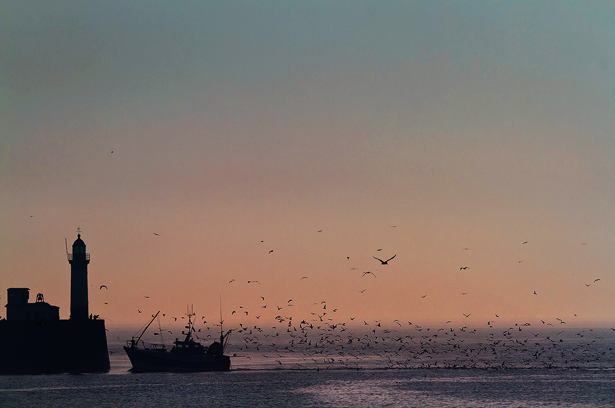 returning from fishing