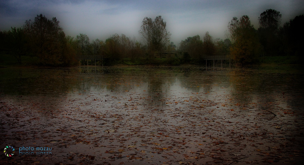 I colori dell'Autunno...