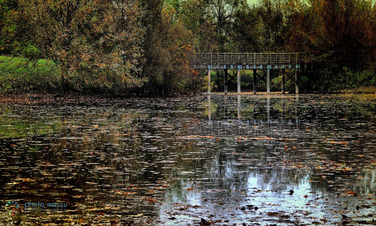 I colori dell'Autunno...