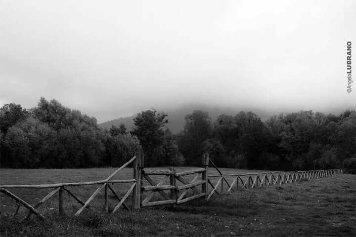 l'autunno dell'esistenza