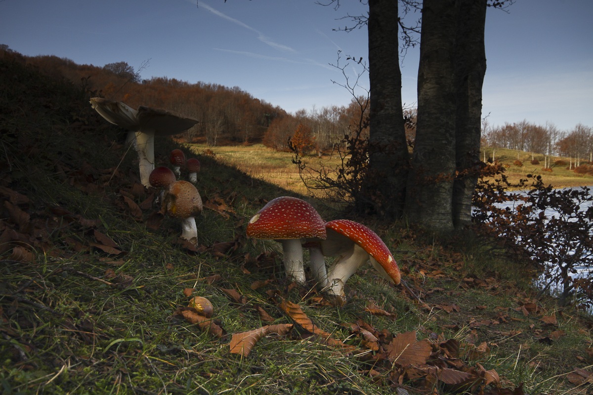 Autumn atmosphere to Calamone