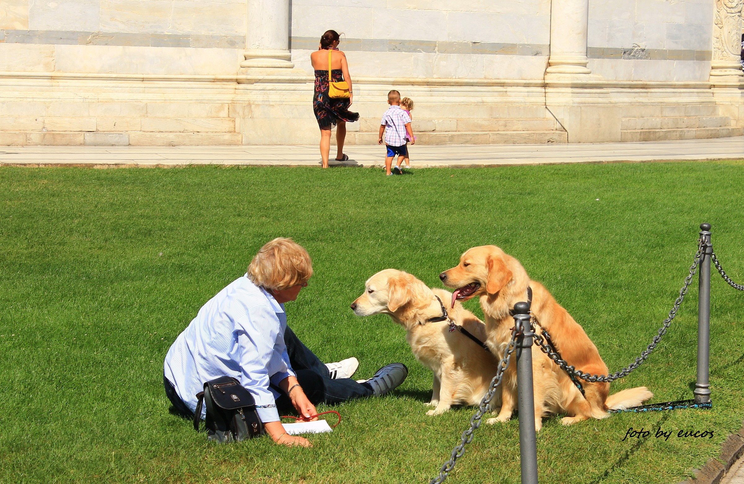 Animals are born, you become Human