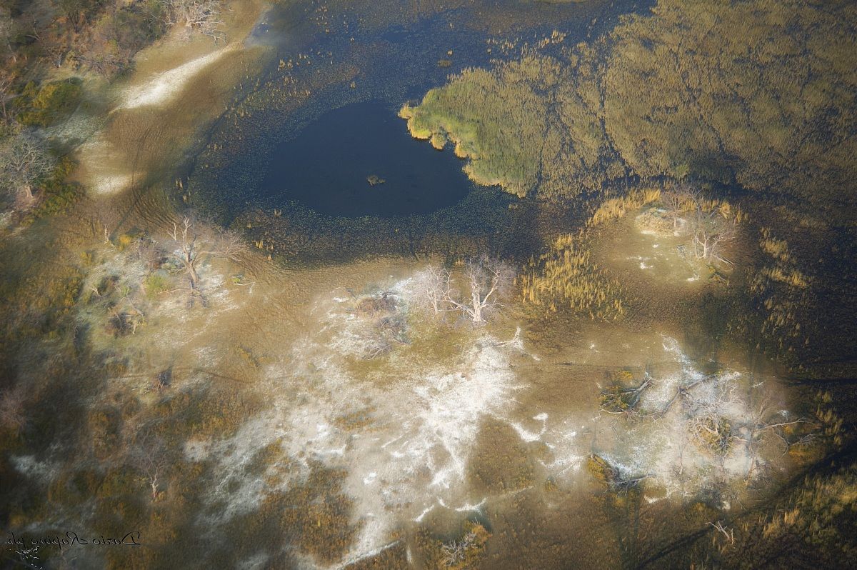 Delta dell'Okawango