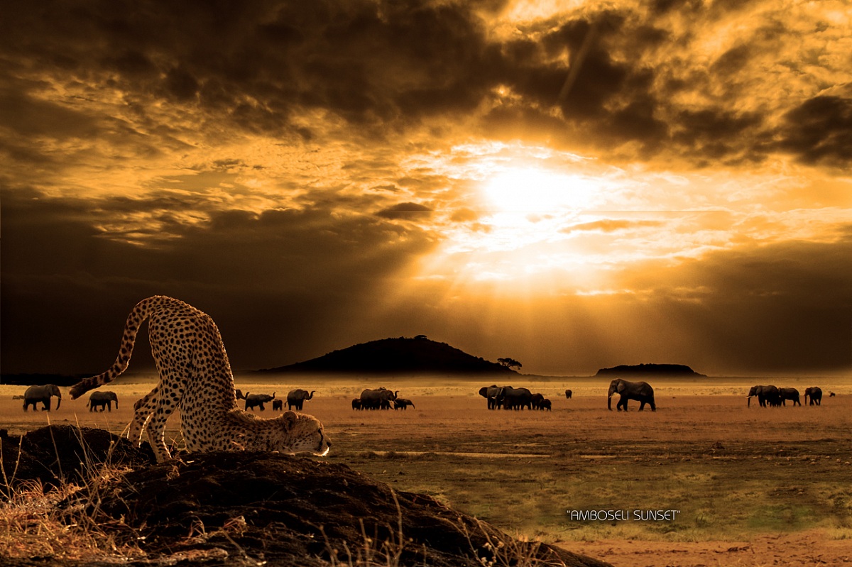 Amboseli sunset