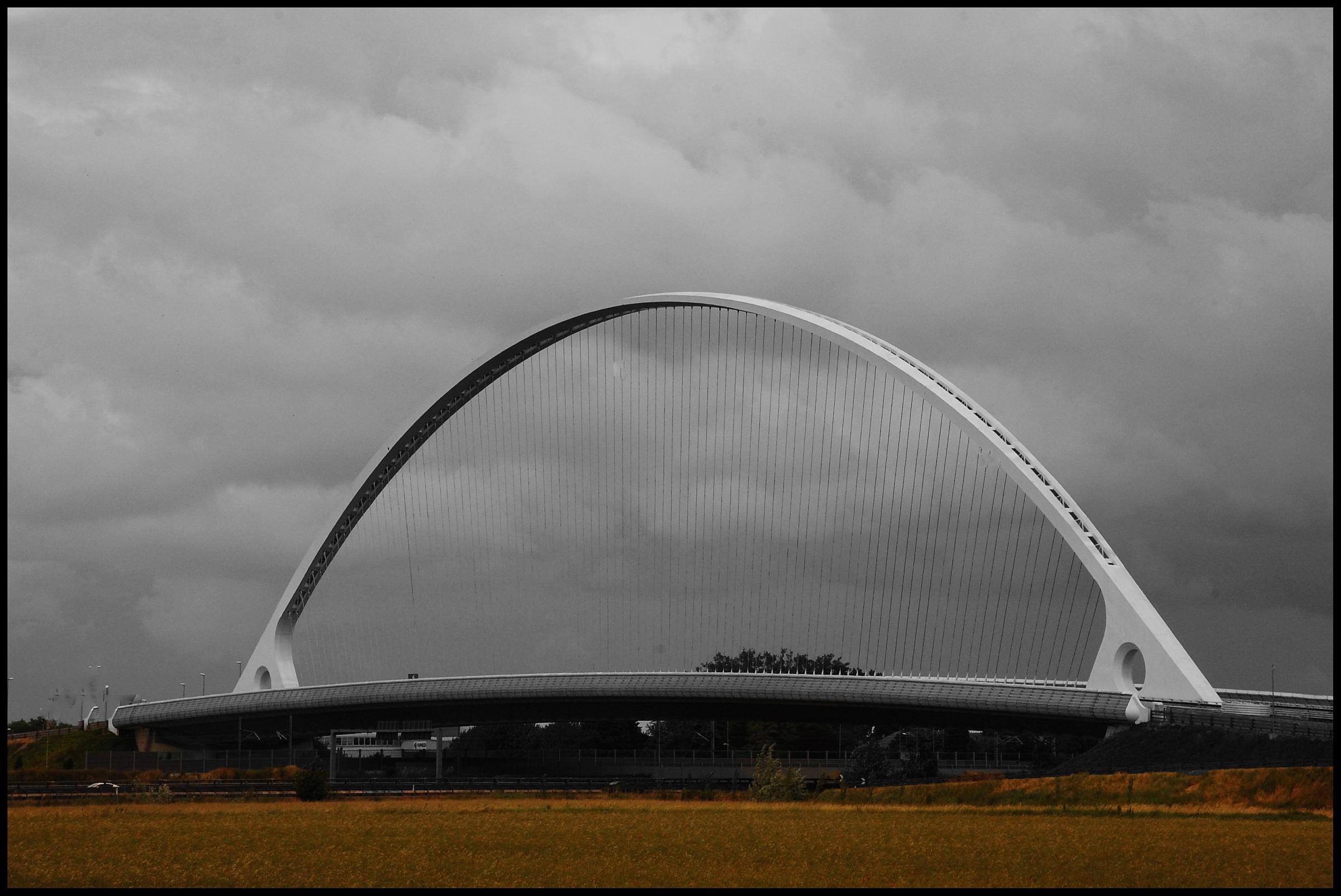 in the middle of the plain