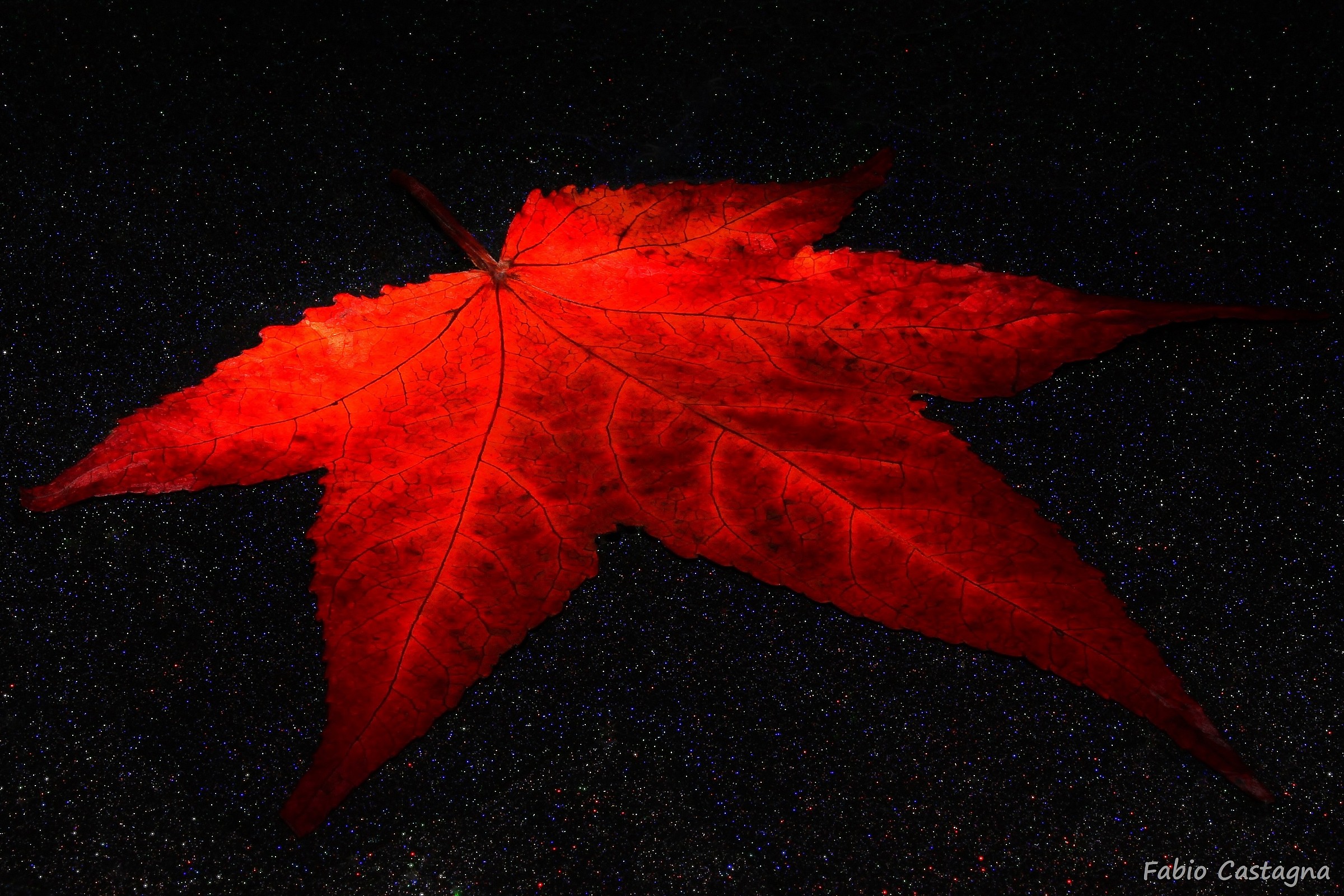 The Autumn among the stars