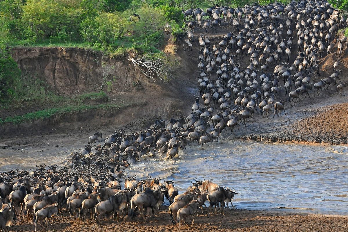 Crossing the river Talek