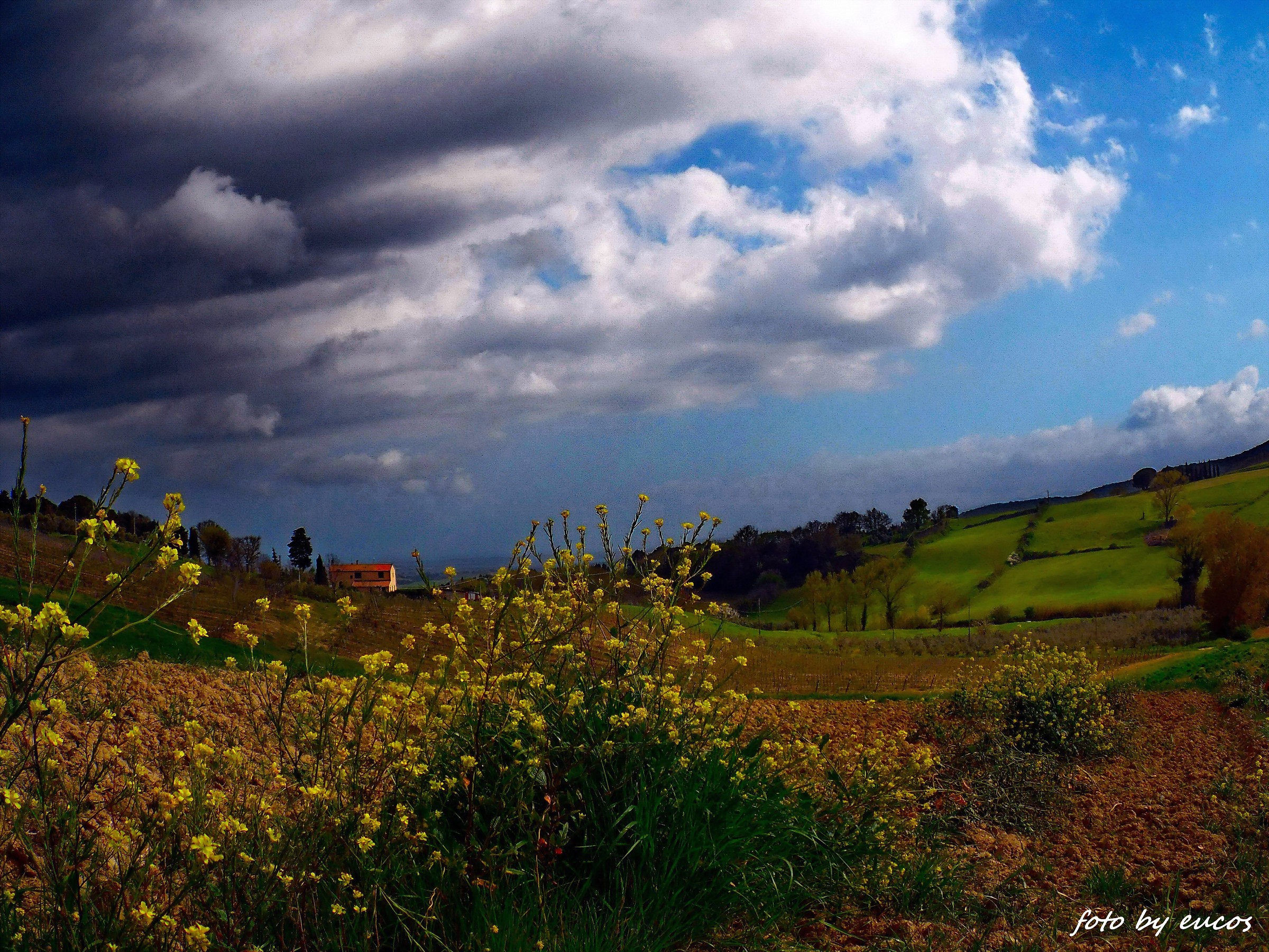 The Tuscan countryside 12