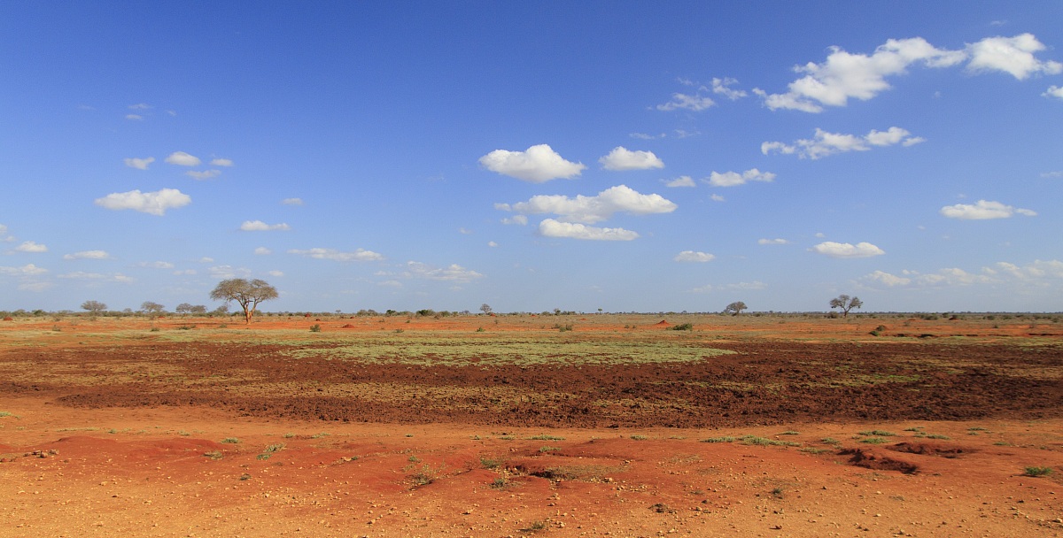 Depressione nella savana