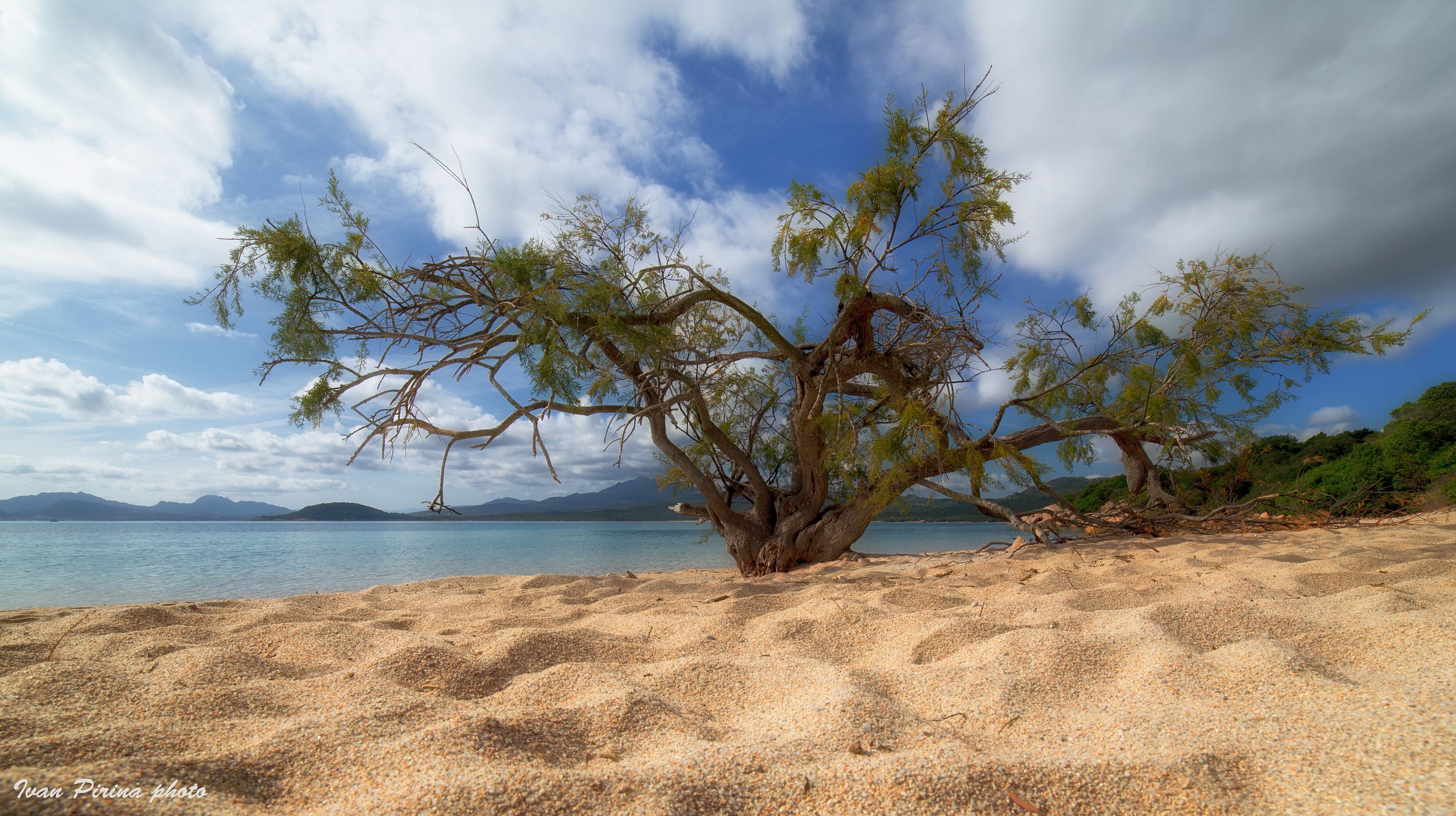 Il vecchio e il mare