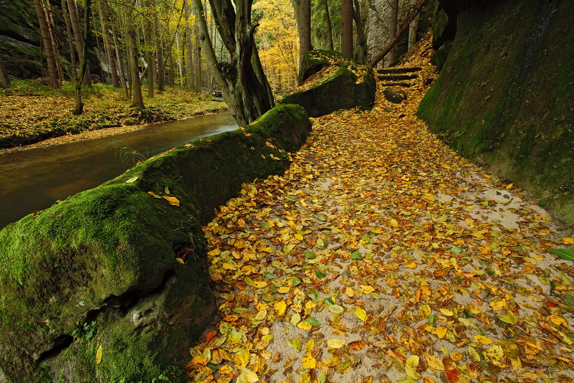 The path by the river Kamenice - Czech republic