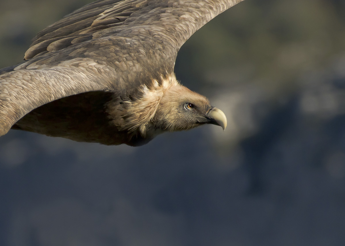 First floor in Verdon