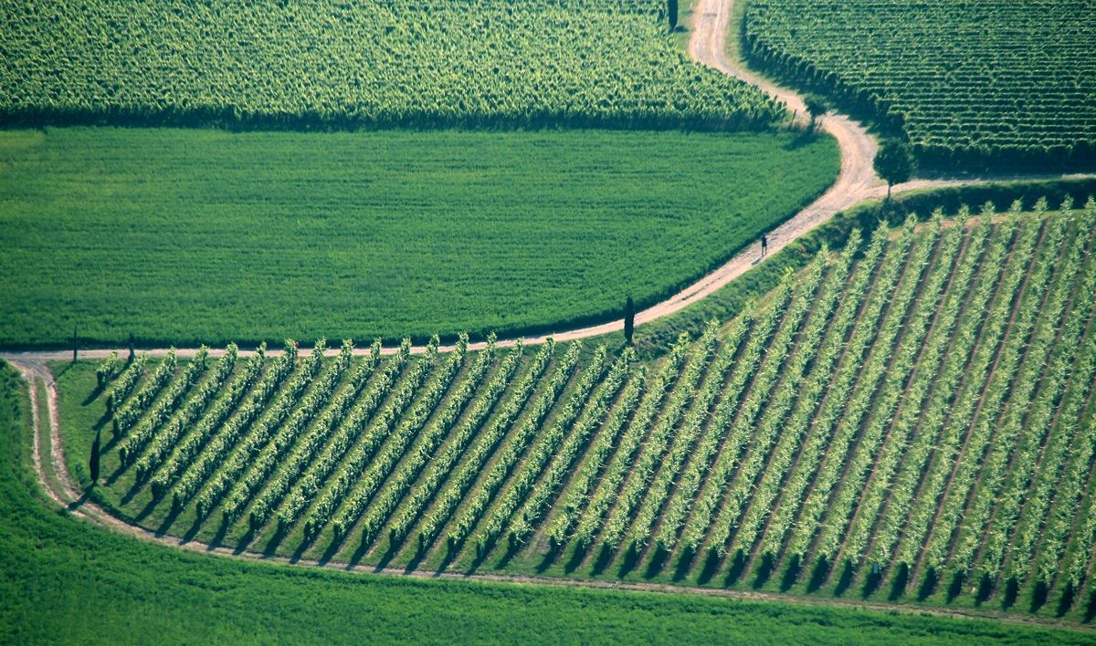 Jogging in Franciacorta
