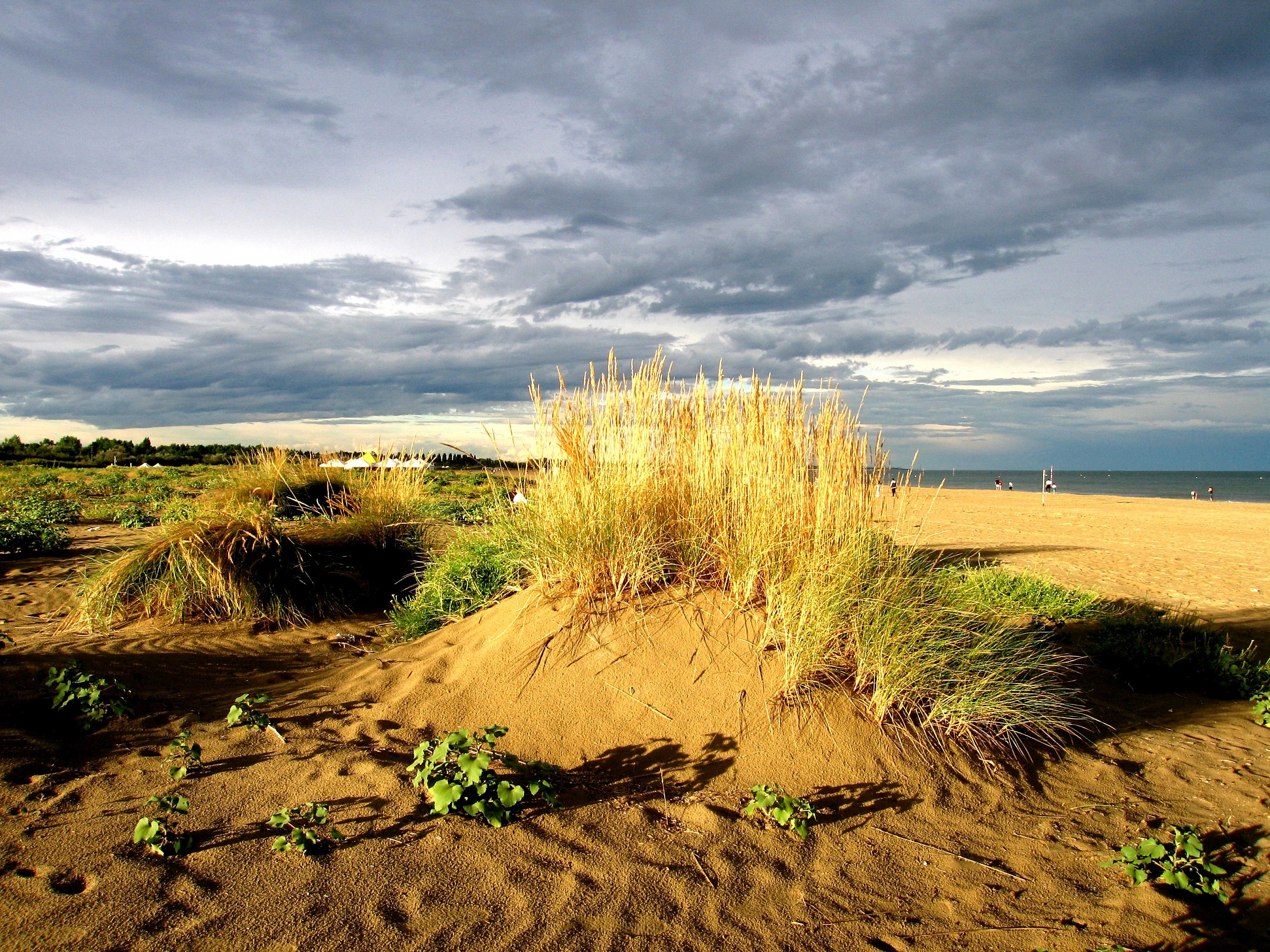 Spiaggia al tramonto