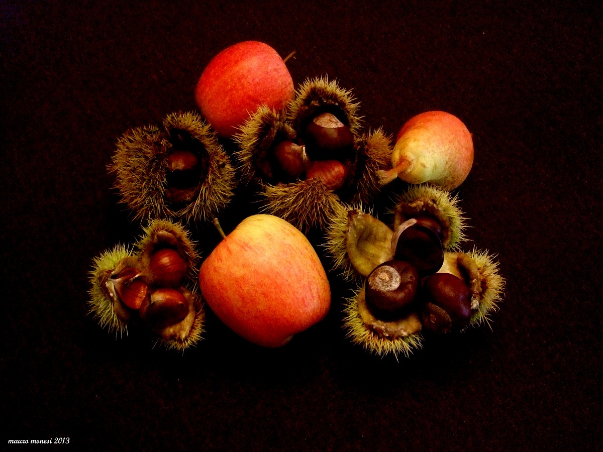 Fruits