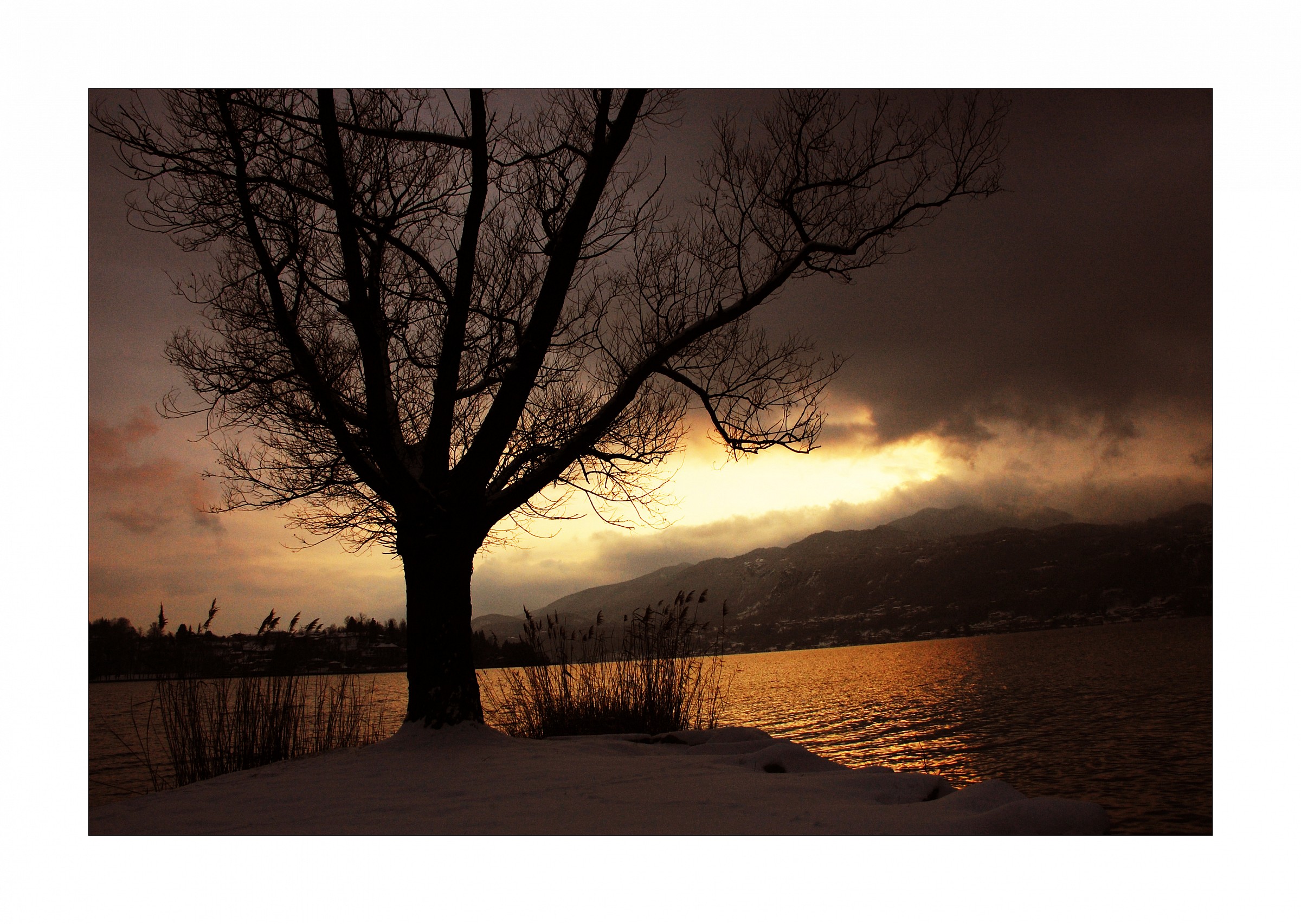 la tregua nella bufera