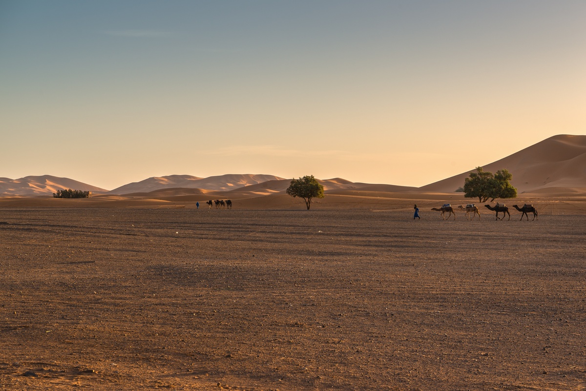 Mattina presto luce su Sahara