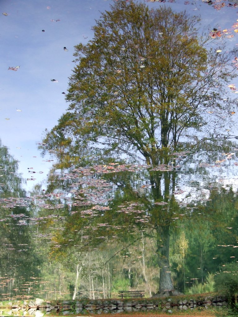 Effect on the lake, Dobbiaco 2008