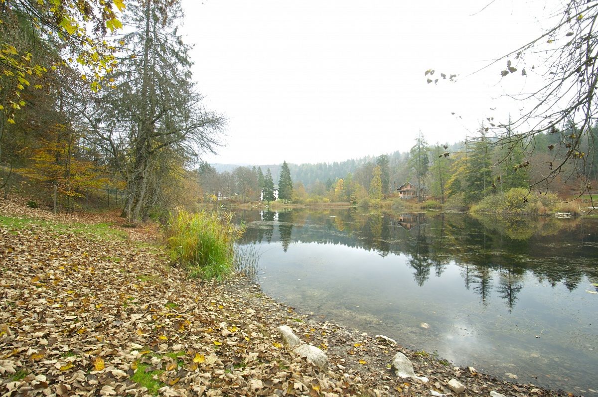 the autumn season of melancholy!