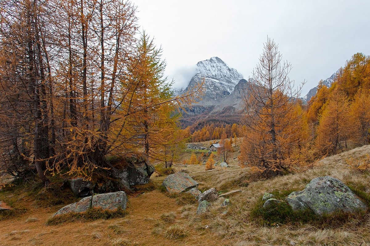 Autumn Alpe