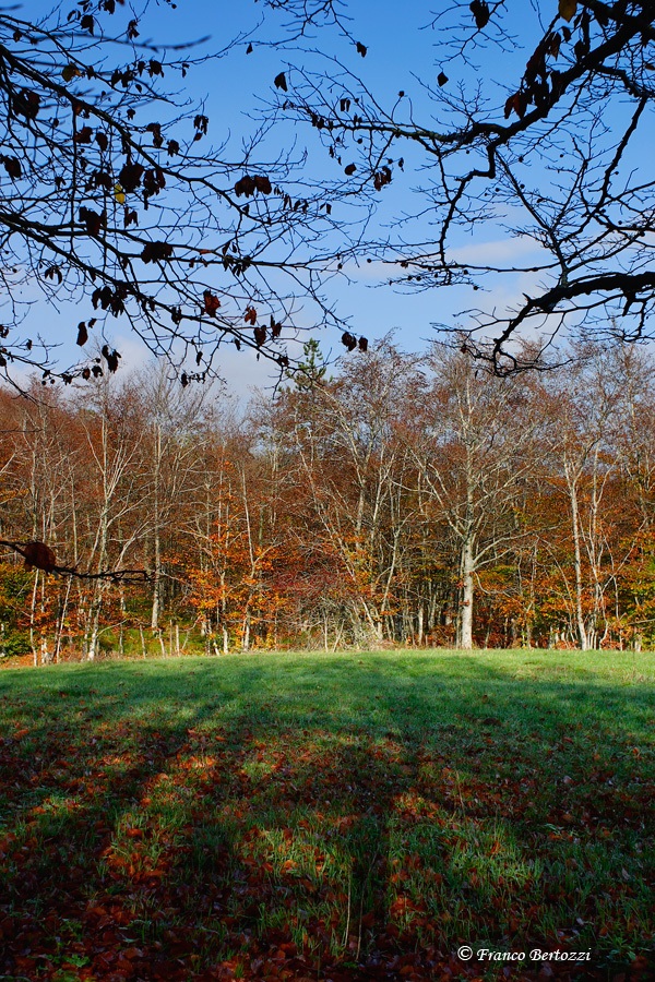 colors and contrasts