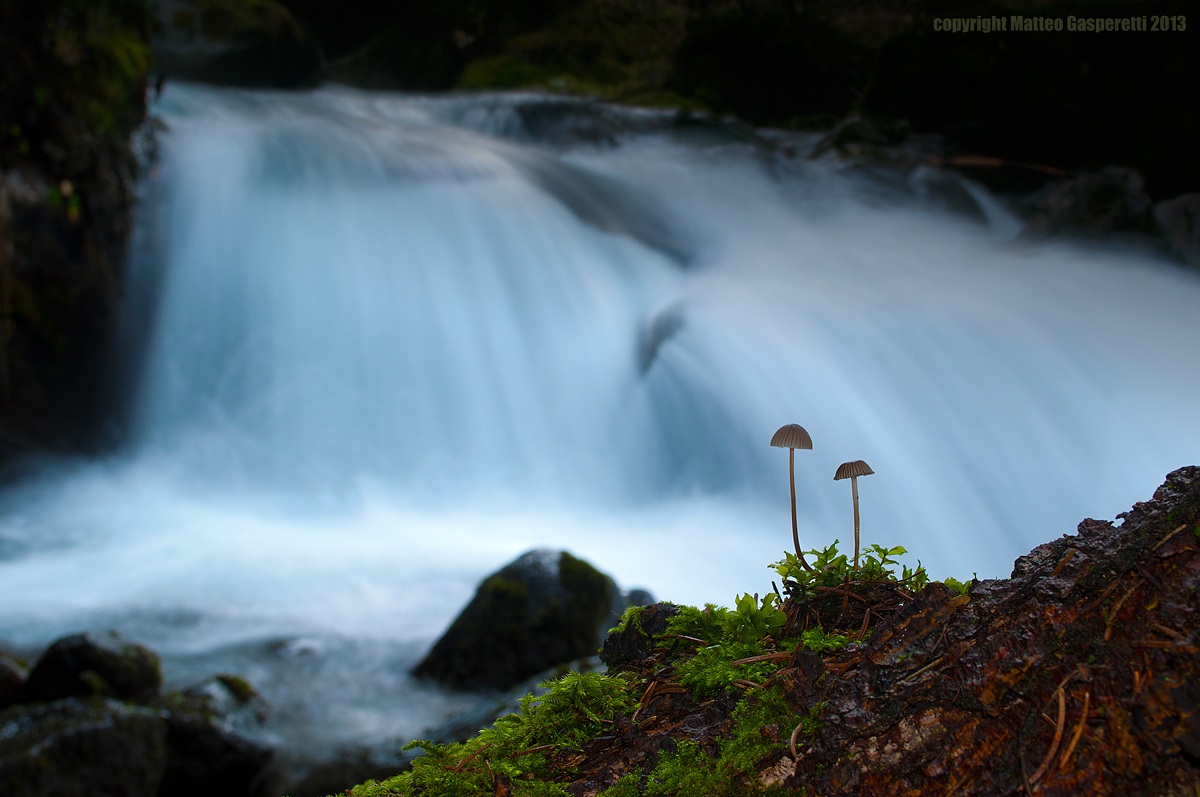 Guardians of the magic land
