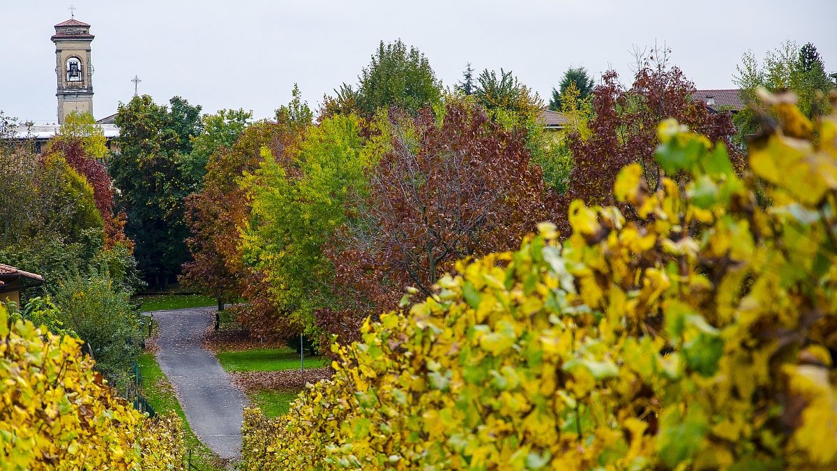 autunno in franciacorta