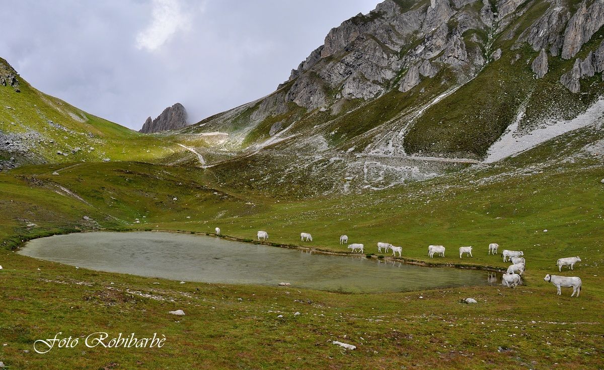 Ai piedi della Meja ....