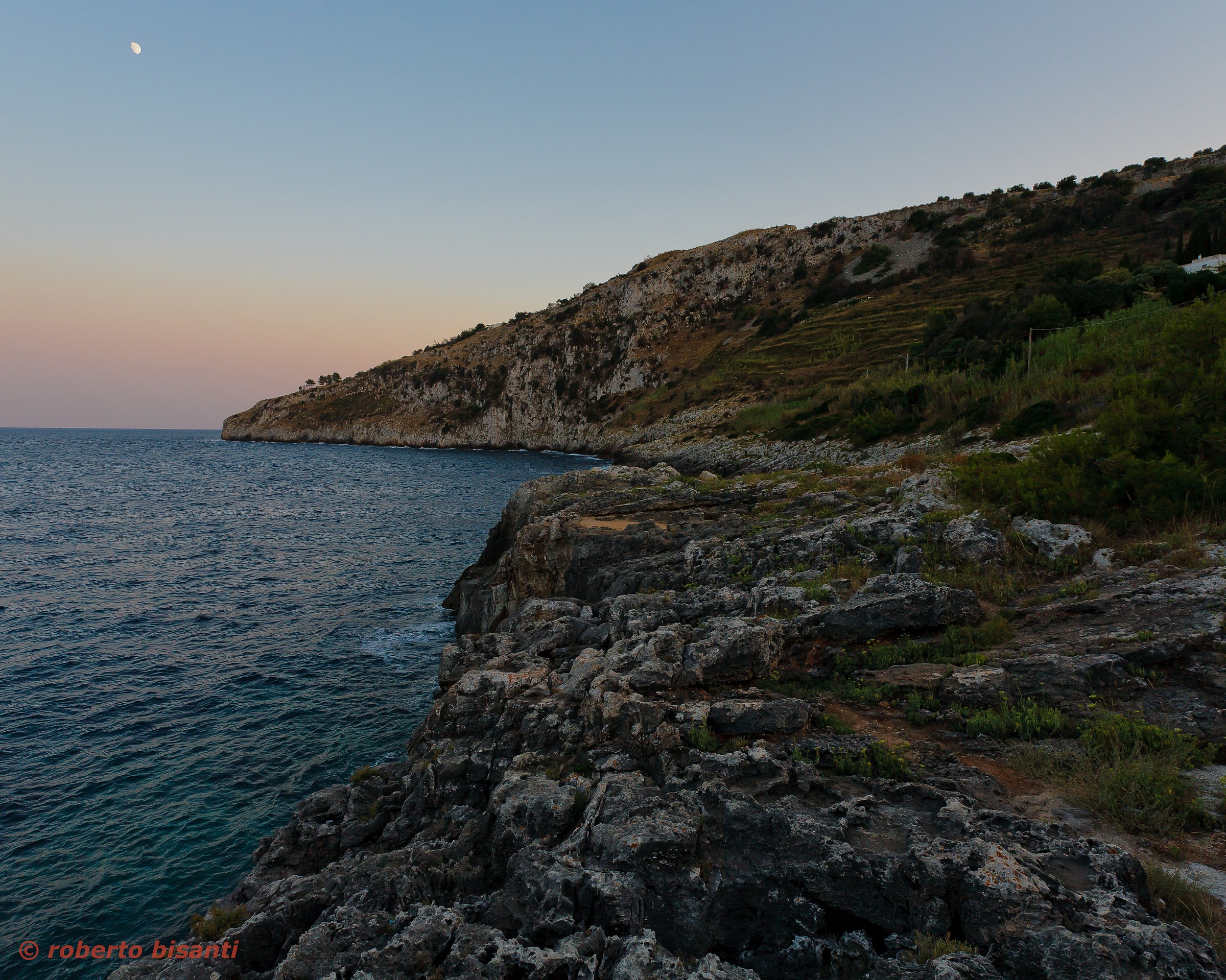 marina bay greenhouse