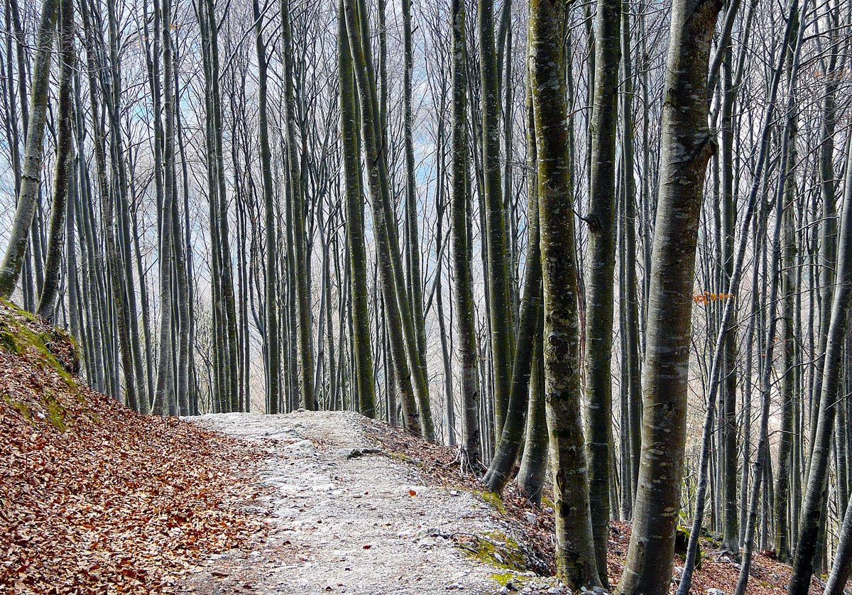 impressioni d'autunno