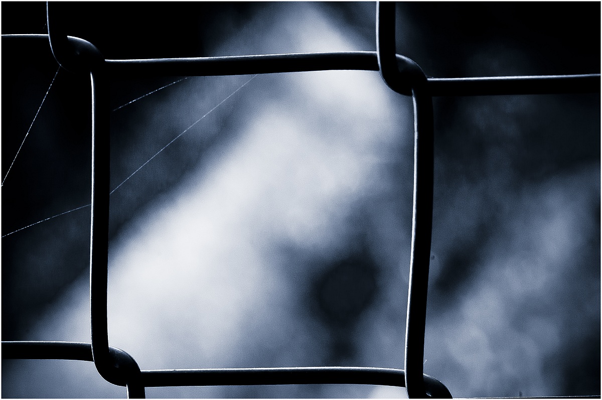 Get out of my garden