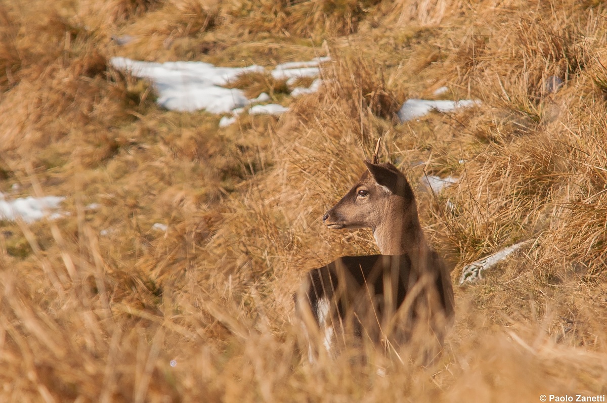 At the end of the day ...