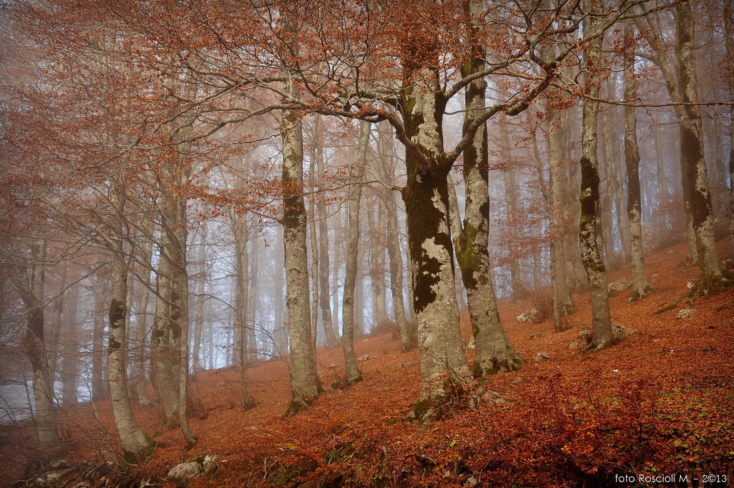 Towards Passo di Forca d'Acero ...
