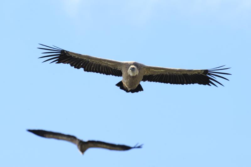 Incroci alla top gun