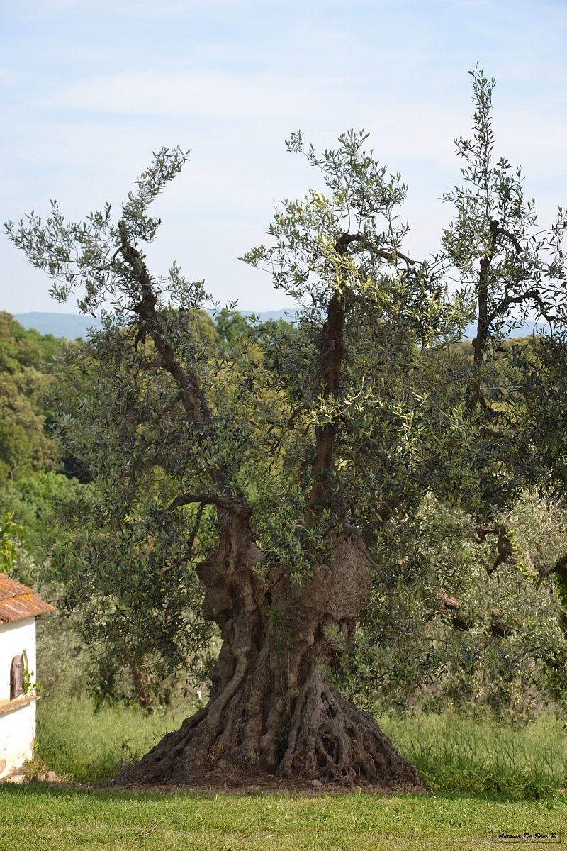 How many years have passed